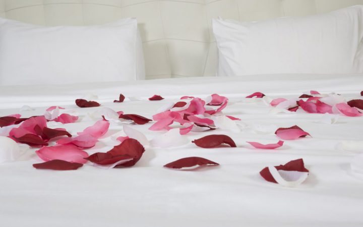 Hotel Room With Big Bed And Red Flowers