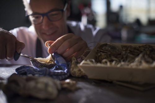 Michelinster voor Heeren van Harinxma